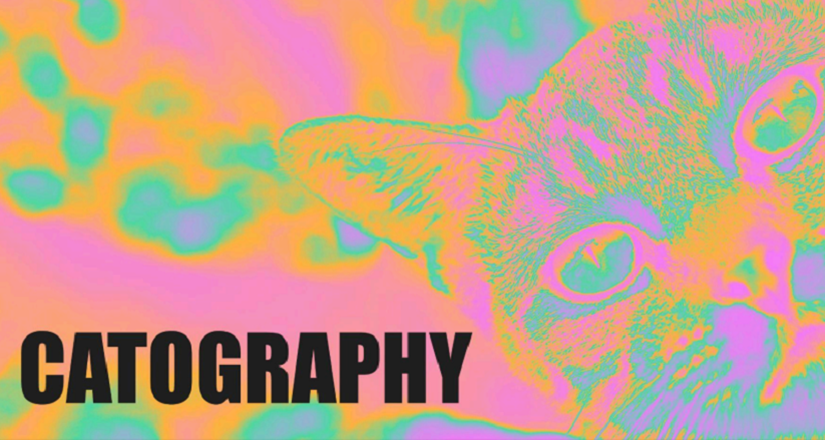 Catography