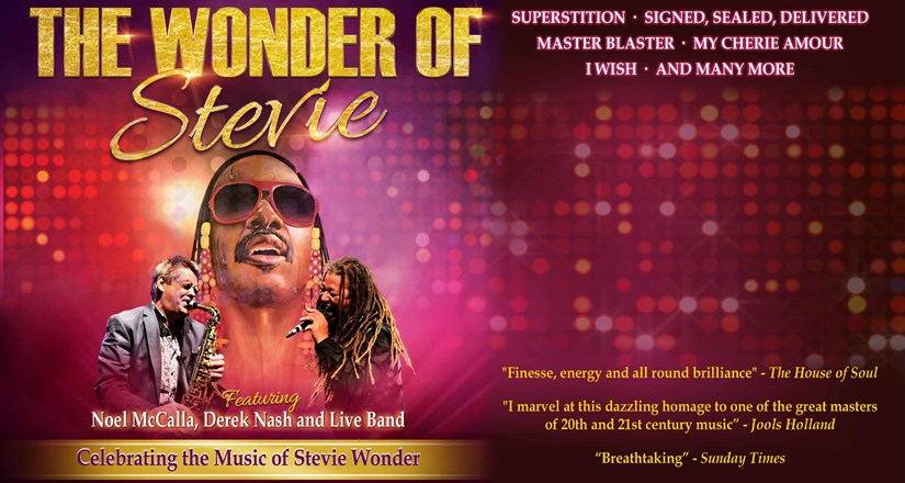 The Wonder of Stevie